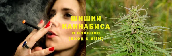 гашик Каменногорск