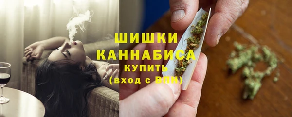 apvp Инта