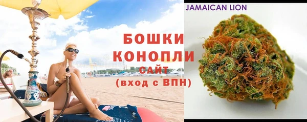 гашик Каменногорск